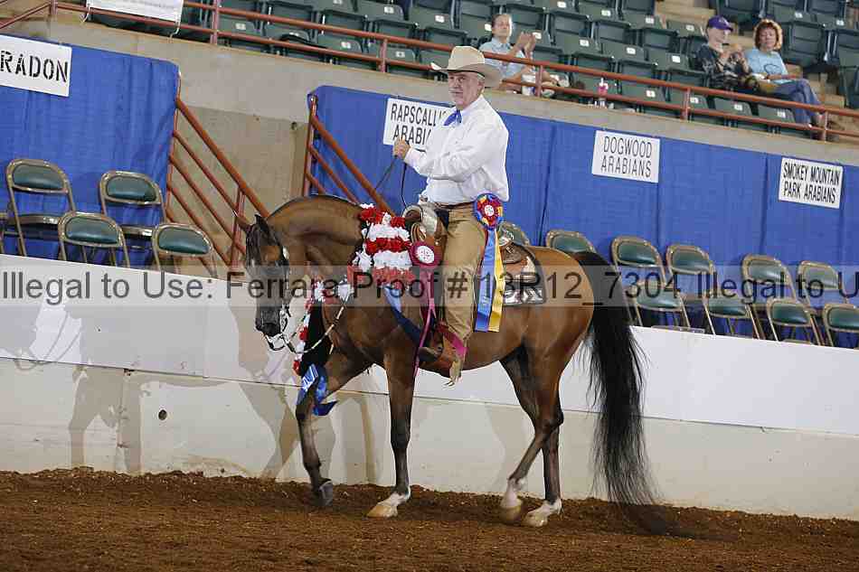 Proof Number 13r12_7304