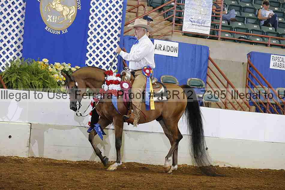 Proof Number 13r12_7305