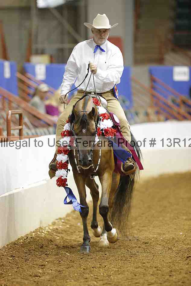 Proof Number 13r12_7311