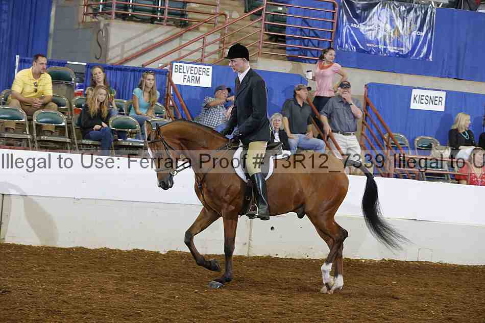 Proof Number 13r12_7339