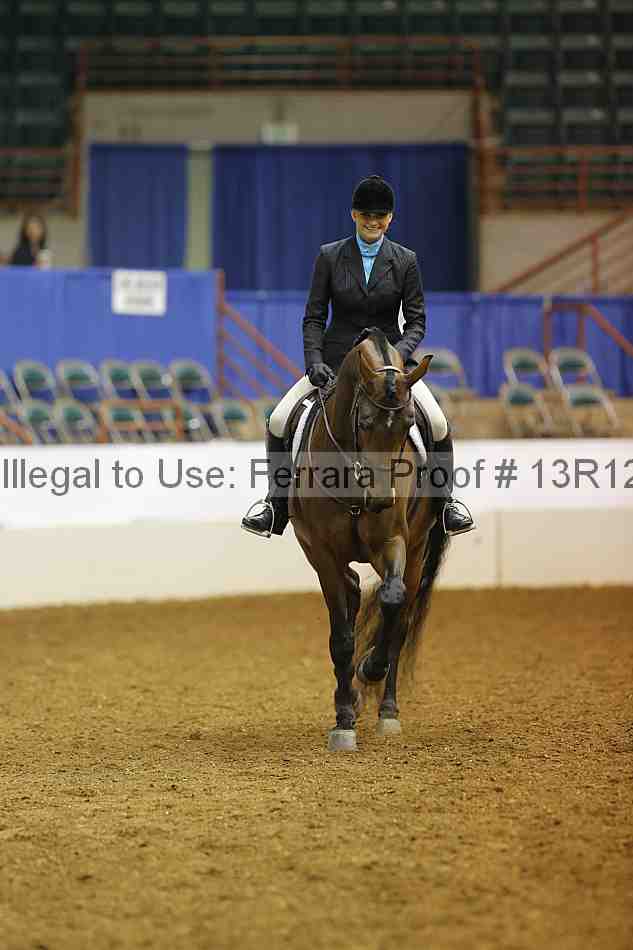 Proof Number 13r12_7342