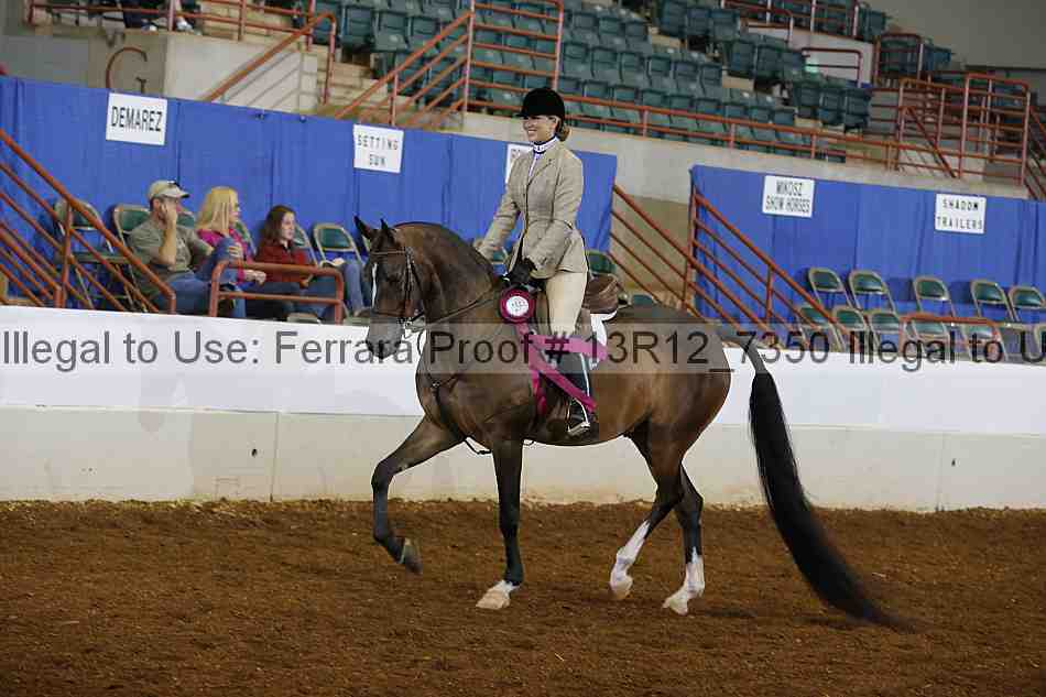 Proof Number 13r12_7350