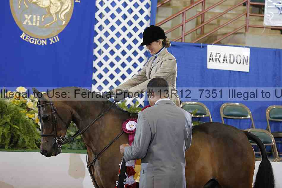 Proof Number 13r12_7351