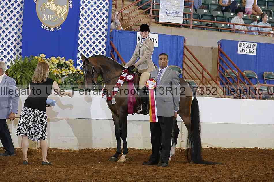 Proof Number 13r12_7352