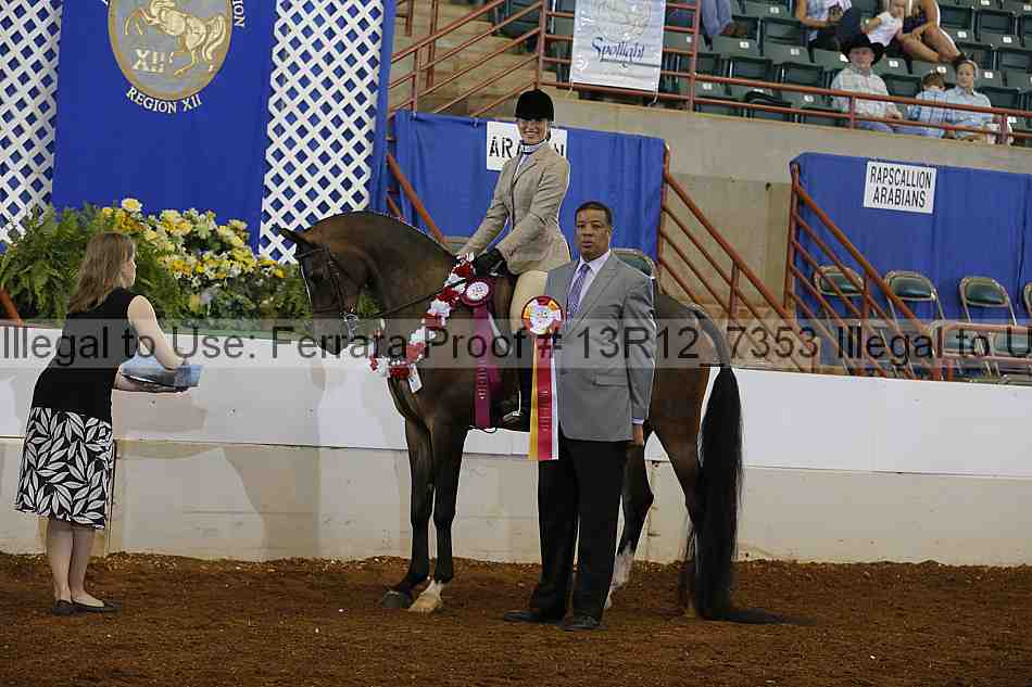 Proof Number 13r12_7353