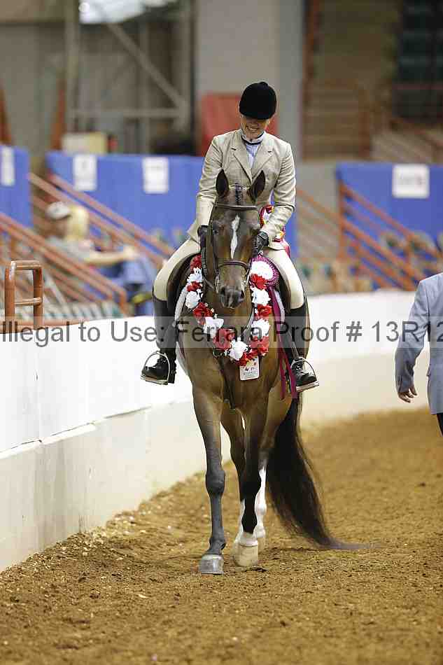 Proof Number 13r12_7356