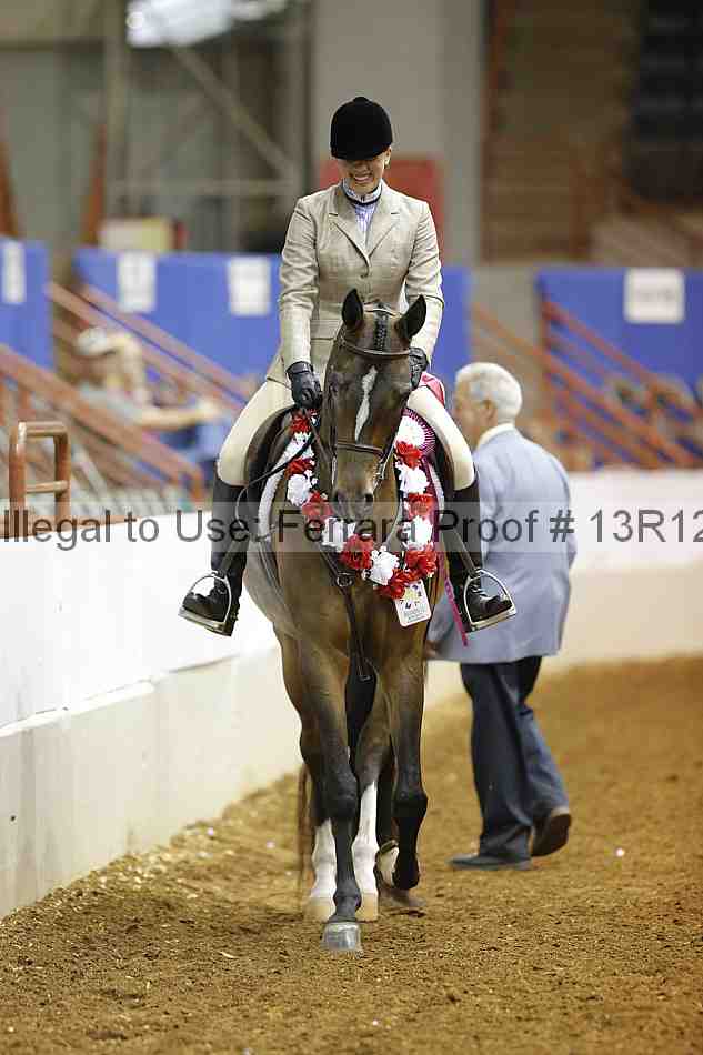 Proof Number 13r12_7357