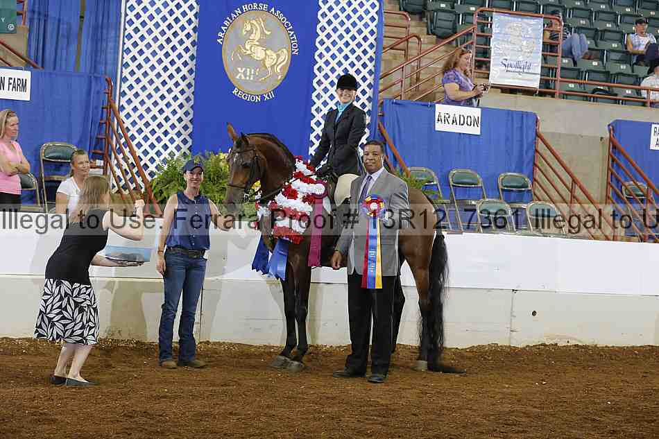 Proof Number 13r12_7361