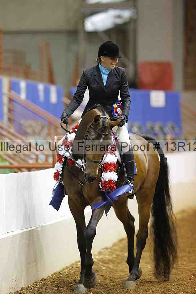 Proof Number 13r12_7372