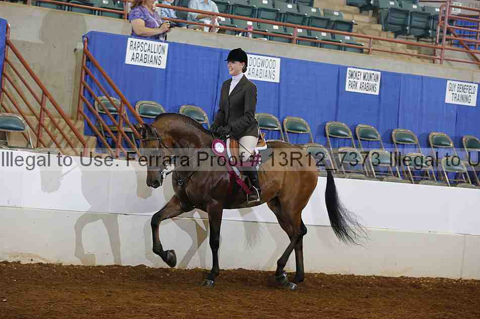Proof Number 13r12_7373