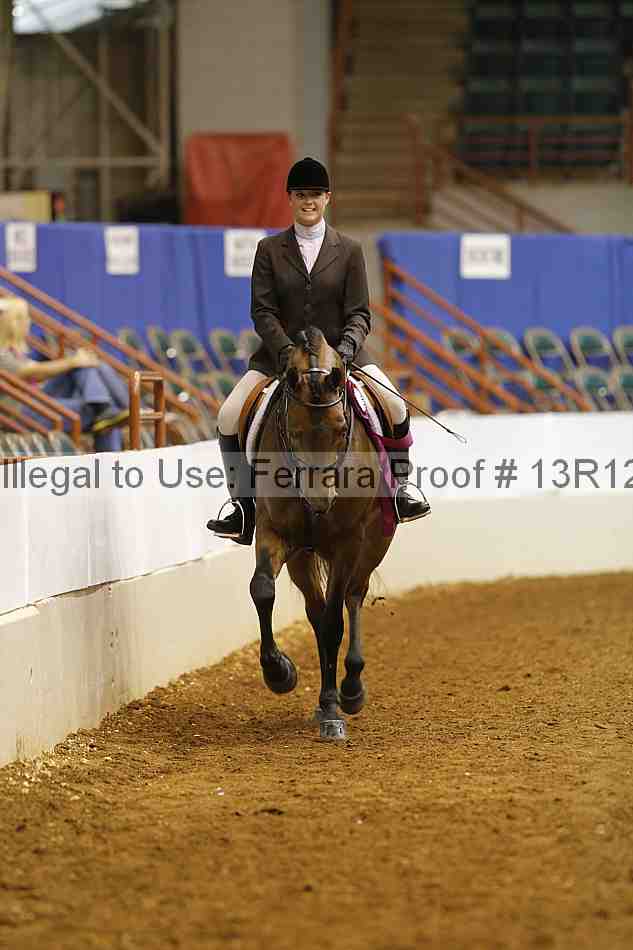 Proof Number 13r12_7376