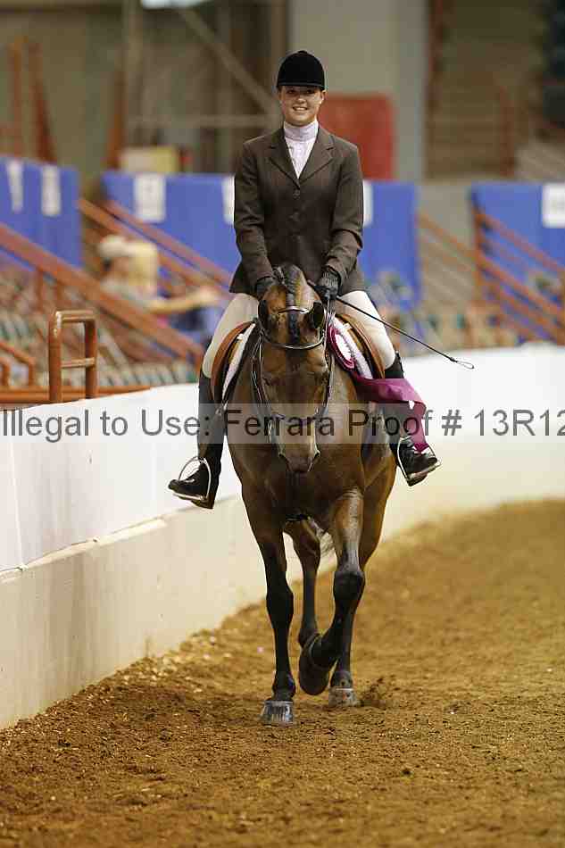 Proof Number 13r12_7377