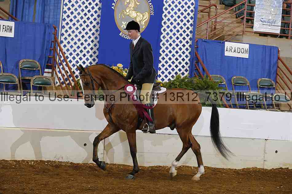 Proof Number 13r12_7379