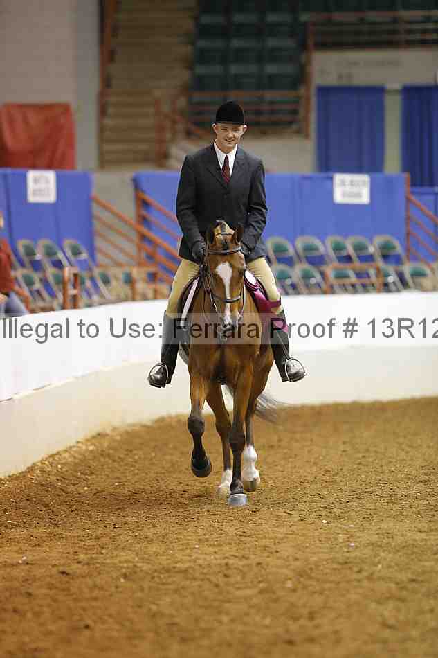 Proof Number 13r12_7381