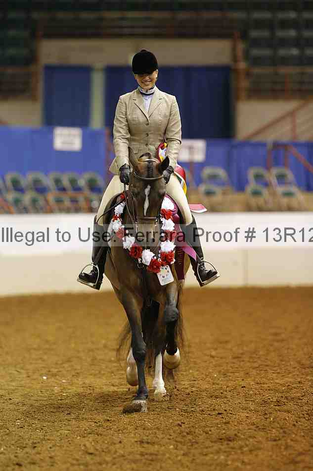 Proof Number 13r12_7384