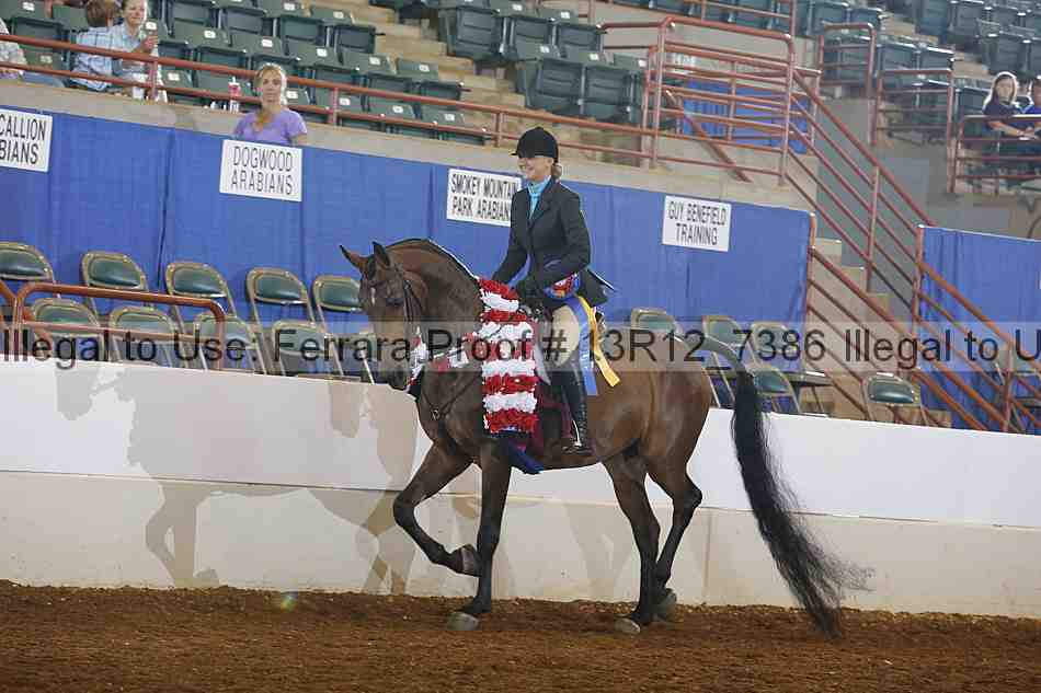 Proof Number 13r12_7386