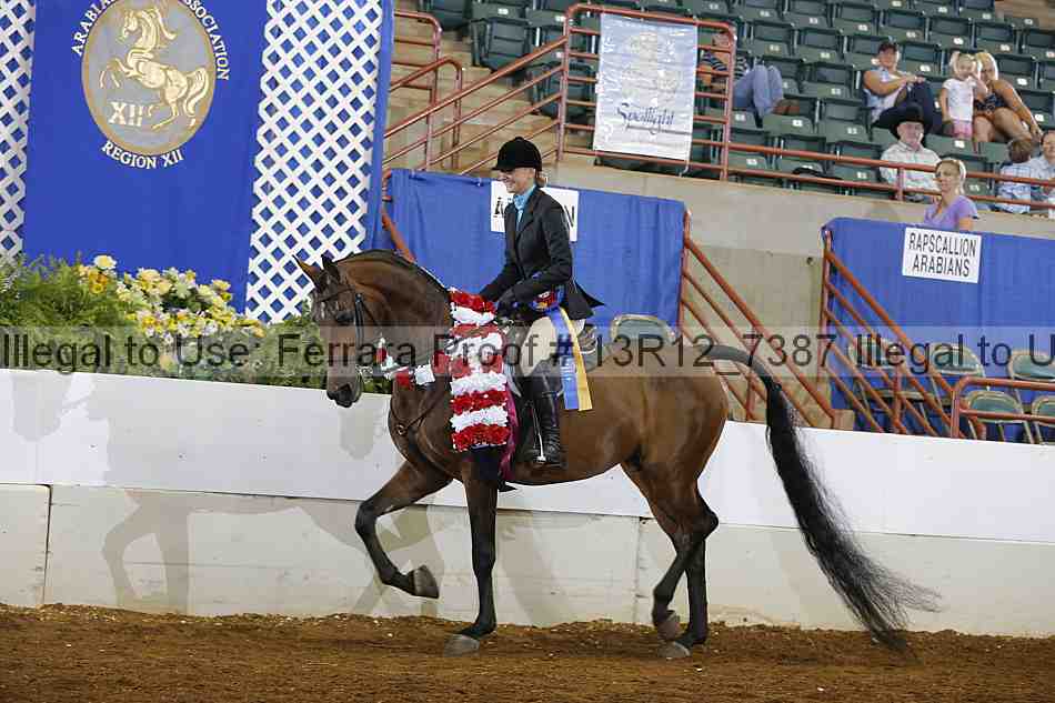 Proof Number 13r12_7387