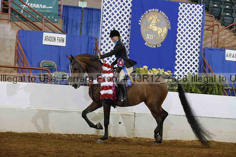 Proof Number 13r12_7388