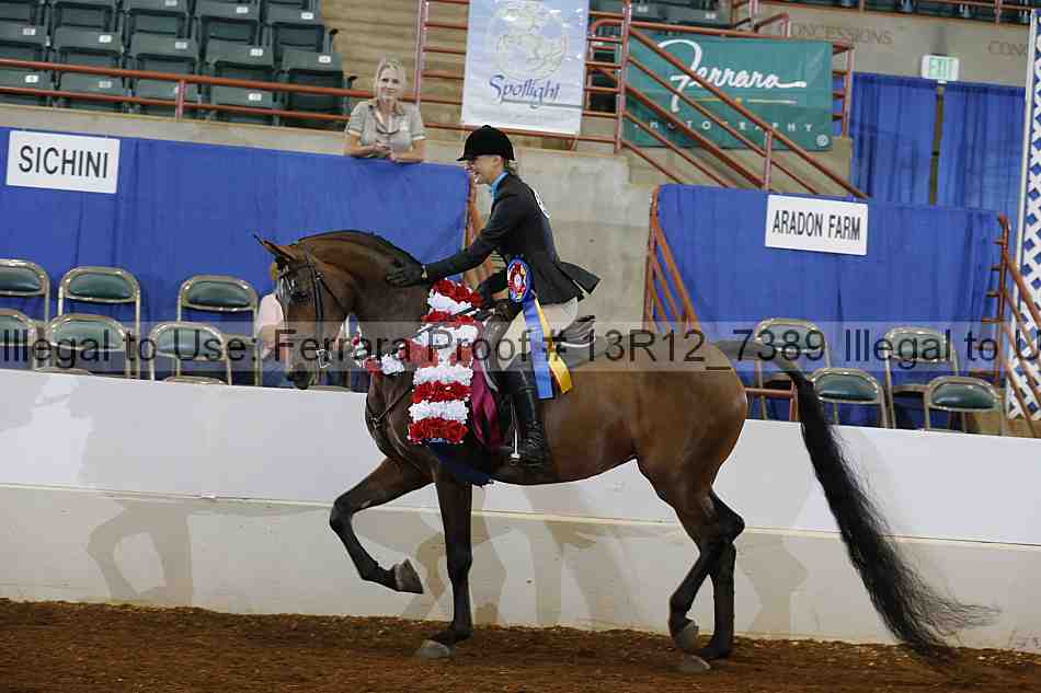 Proof Number 13r12_7389