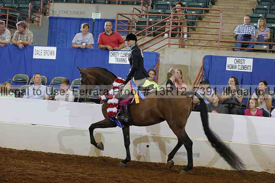 Proof Number 13r12_7391