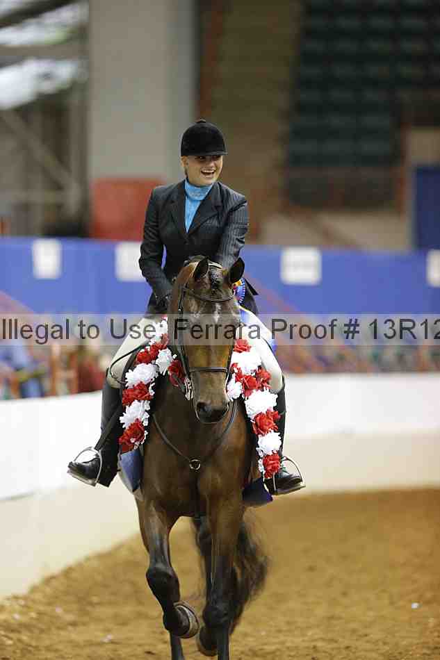 Proof Number 13r12_7396