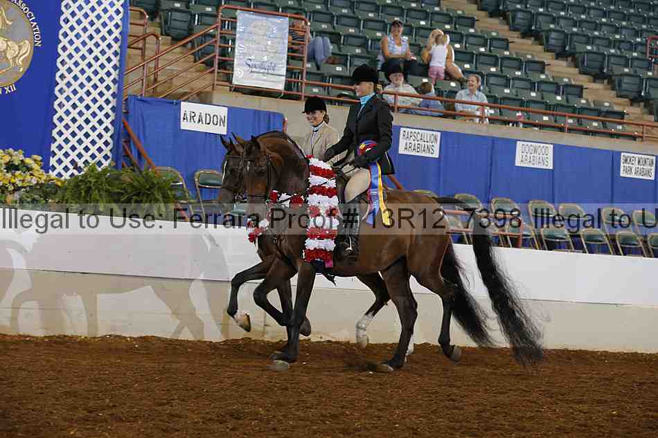 Proof Number 13r12_7398