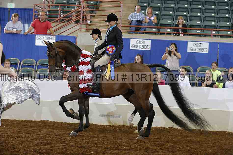 Proof Number 13r12_7399