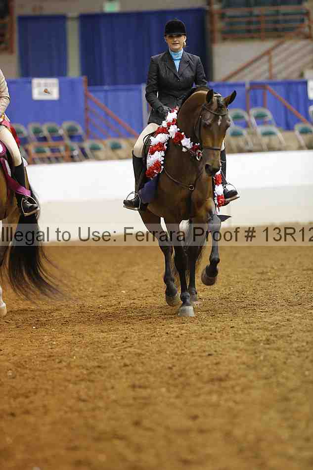 Proof Number 13r12_7400