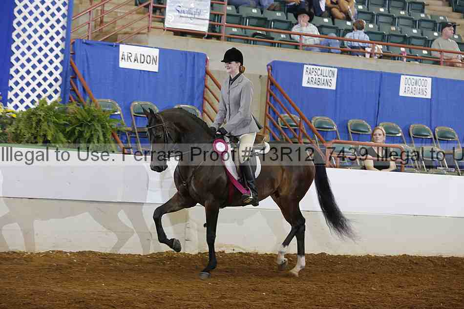 Proof Number 13r12_7439