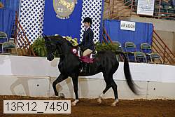 13r12_7450 thumbnail