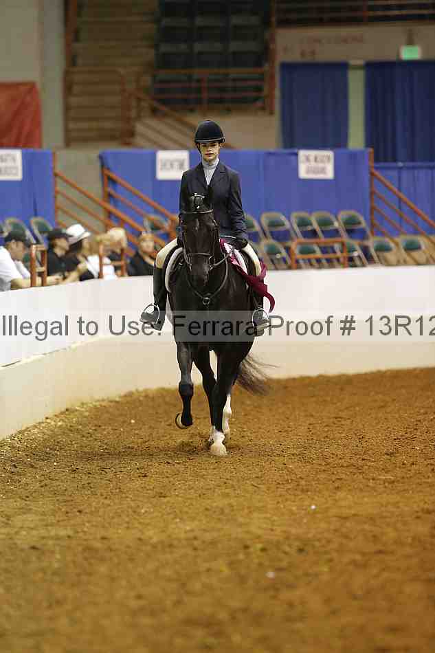 Proof Number 13r12_7451