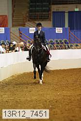 13r12_7451 thumbnail