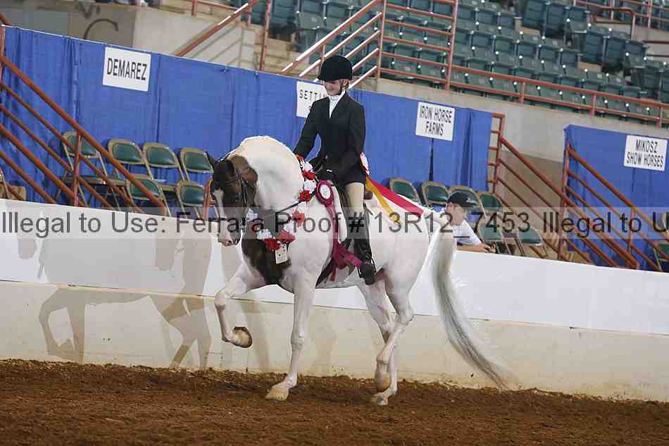 Proof Number 13r12_7453