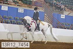 13r12_7454 thumbnail