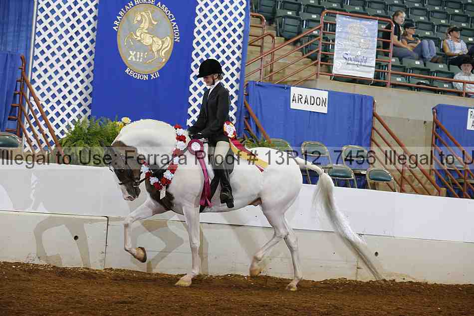 Proof Number 13r12_7456