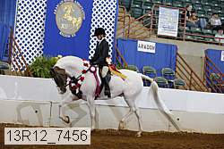13r12_7456 thumbnail