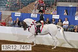 13r12_7457 thumbnail