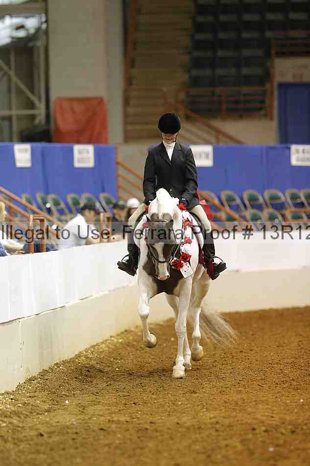 Proof Number 13r12_7458