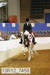 13r12_7458 thumbnail