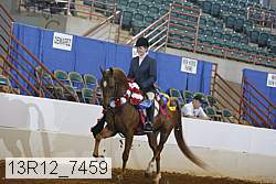 13r12_7459 thumbnail