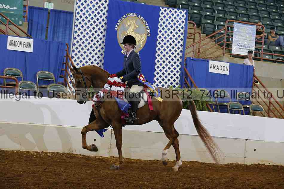 Proof Number 13r12_7460