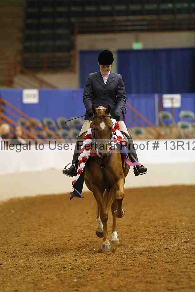 Proof Number 13r12_7461