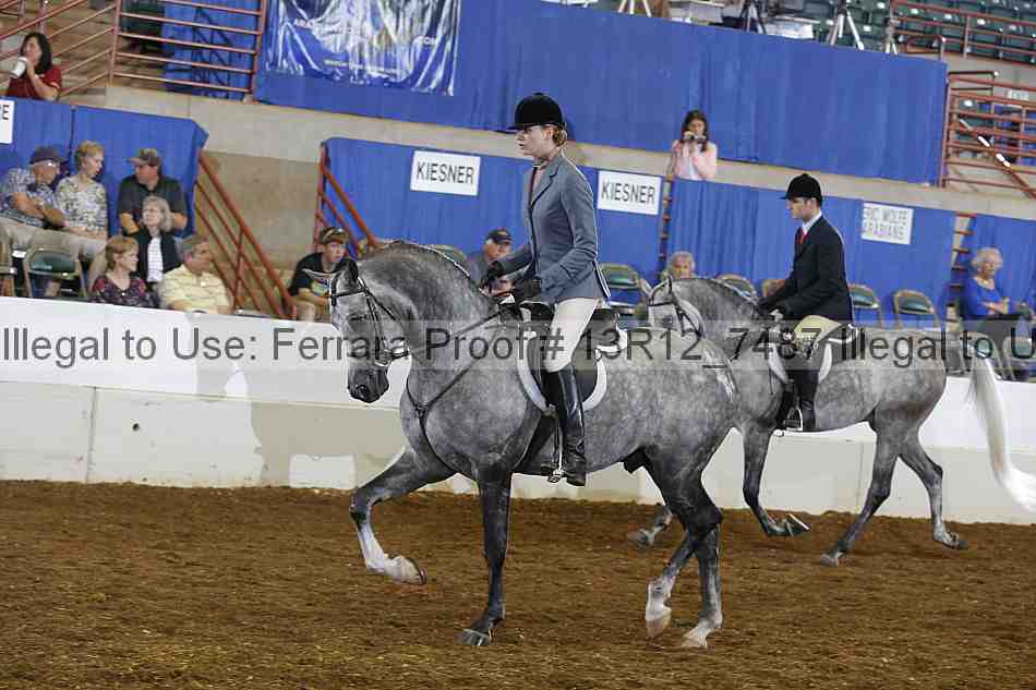Proof Number 13r12_7487