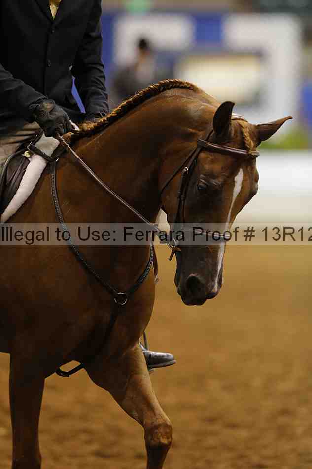 Proof Number 13r12_7491
