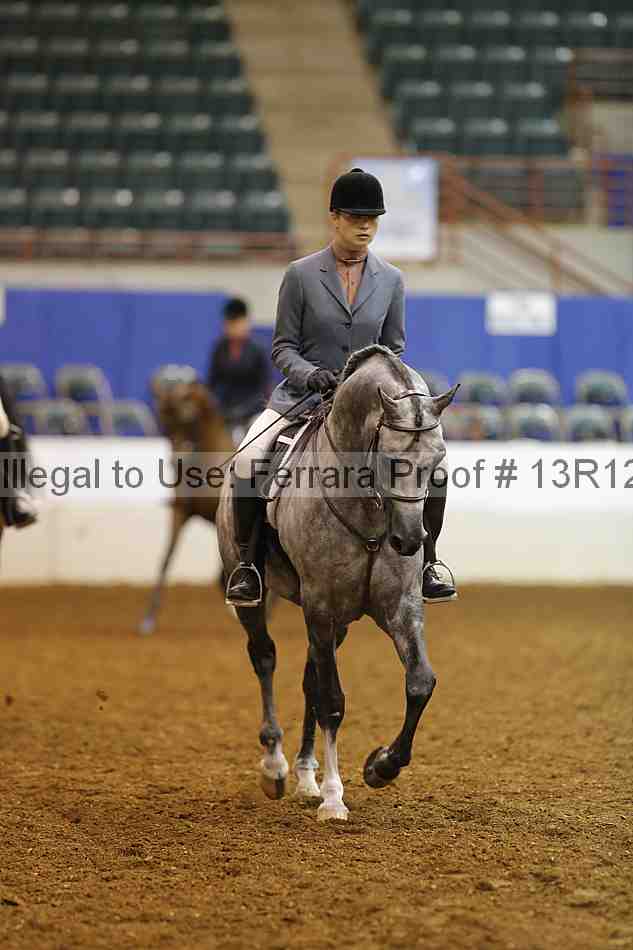 Proof Number 13r12_7495