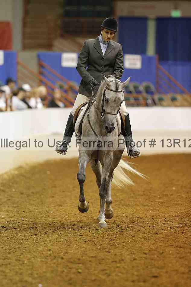 Proof Number 13r12_7501