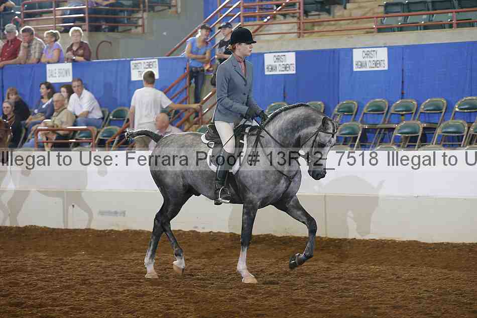Proof Number 13r12_7518