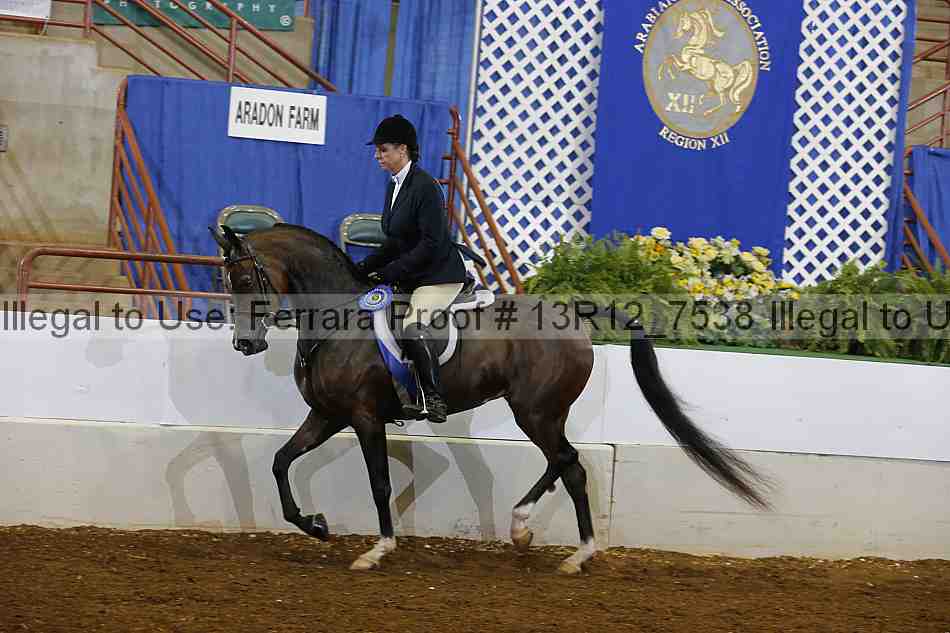Proof Number 13r12_7538