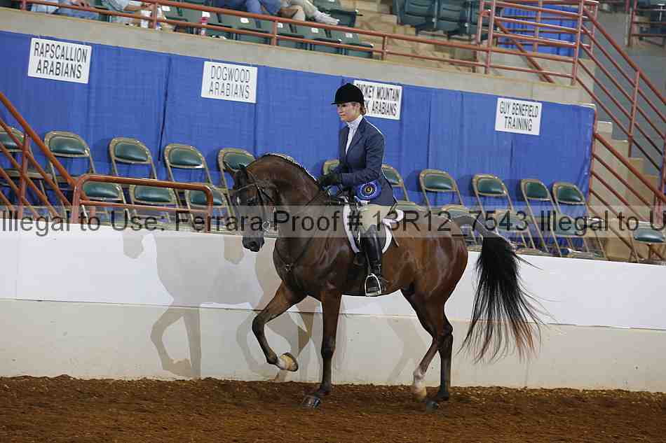 Proof Number 13r12_7543