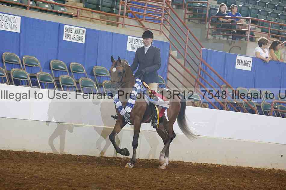 Proof Number 13r12_7548